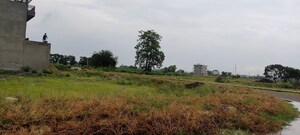 Plot For Sale in Mullanpur