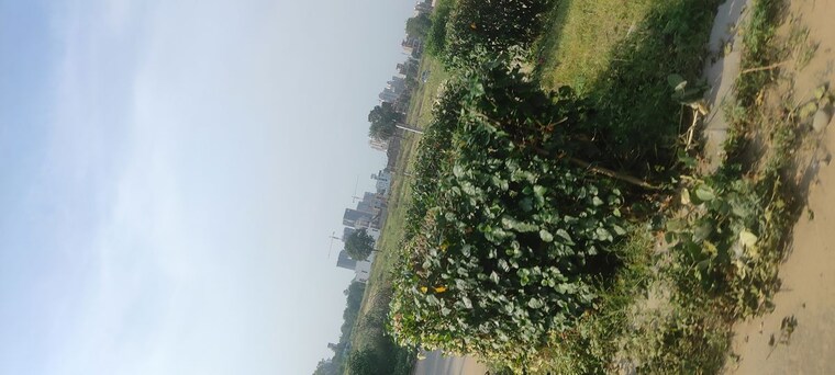 Garden, mullanpur  333 Sq.Yd. Plot In Mullanpur Chandigarh 10053536