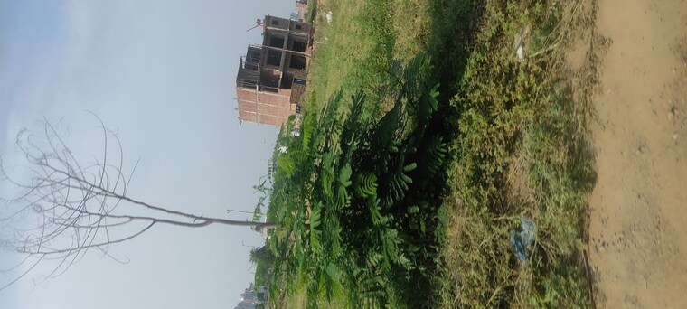 Exterior View, mullanpur  333 Sq.Yd. Plot In Mullanpur Chandigarh 10053536