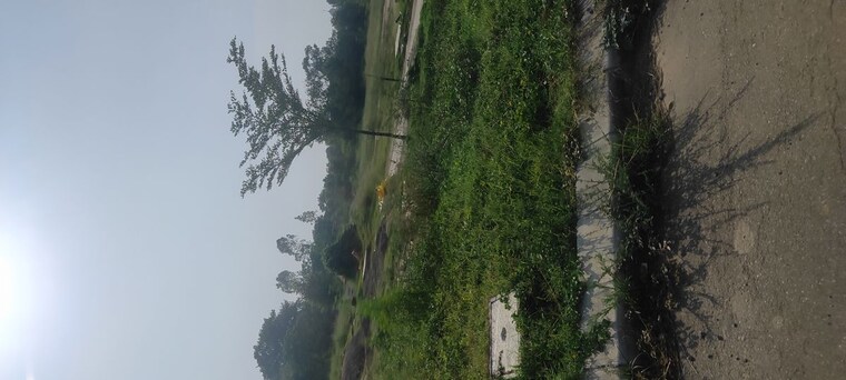 Exterior View, mullanpur  333 Sq.Yd. Plot In Mullanpur Chandigarh 10053536