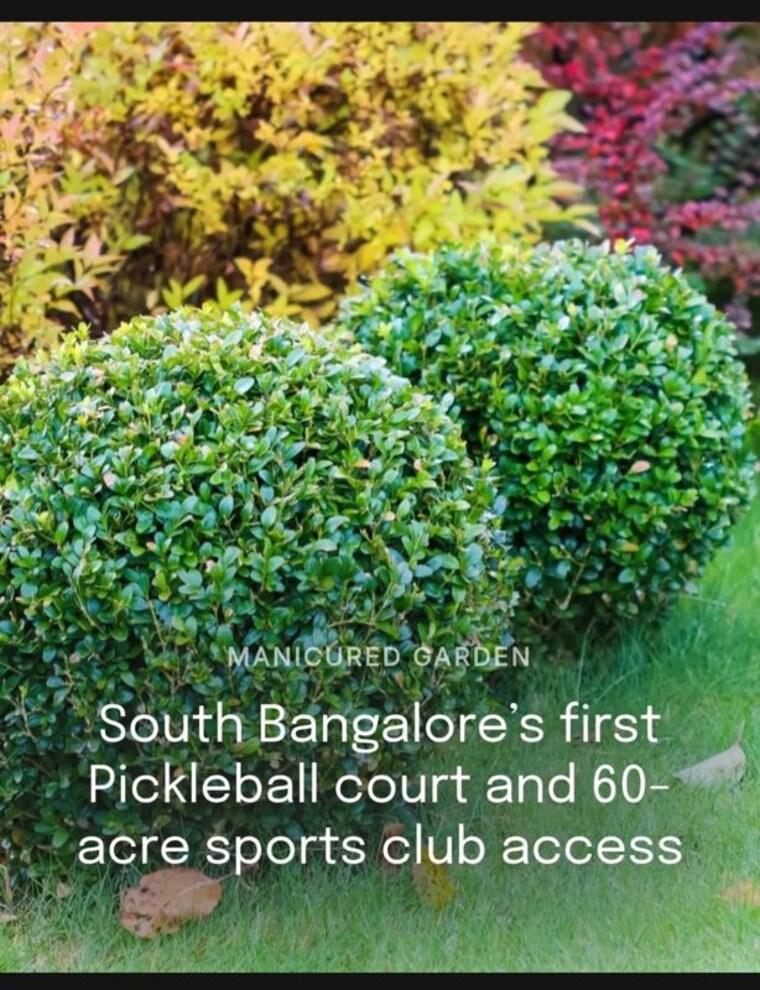 Garden, jigani  1200 Sq.Ft. Plot In Jigani Bangalore 10050808