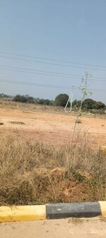 257 Sq.Yd. Plot in Fortune Butterfly City