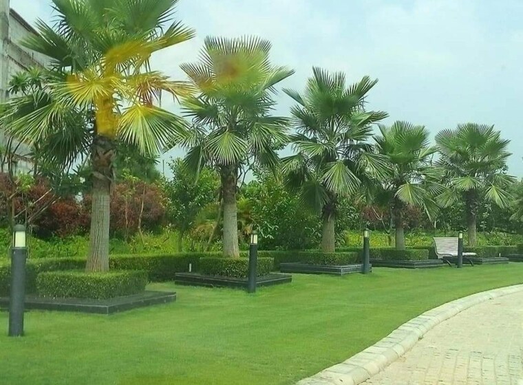 Exterior View, mullanpur  321 Sq.Yd. Plot In Mullanpur Chandigarh 10054044