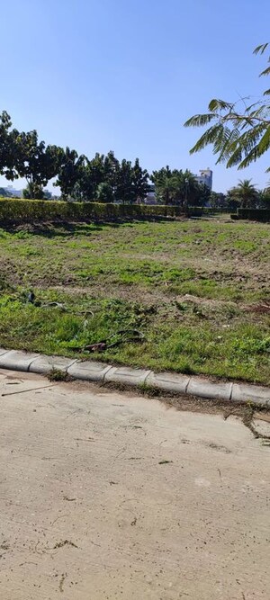 Plot Area in  Plot at Mullanpur – for Sale