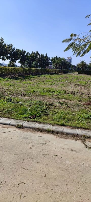 Plot Area in  Plot at Mullanpur – for Sale