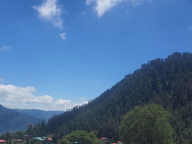 Garden, bhattakufer 2 Bedroom 760 Sq.Ft. Apartment In Bhattakufer Shimla 10037604