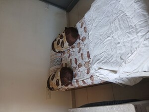 Bedroom in 1.5 BHK Apartment at Sector 9 – for Rent