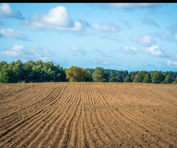  Plot For Sale in DLF Queens Court, Greater Kailash ii