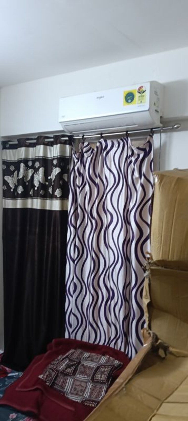 Bedroom, signature-global-proxima 2 Bedroom 593 Sq.Ft. Apartment In Sector 89 Gurgaon 10054461