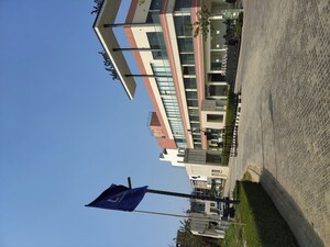  Plot For Sale in Lion Green Valley, Sohna Sector 35