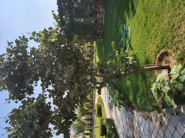 Garden, ats-homekraft-bonheur-avenue  175 Sq.Yd. Plot In Sohna Sector 35 Gurgaon 10054659