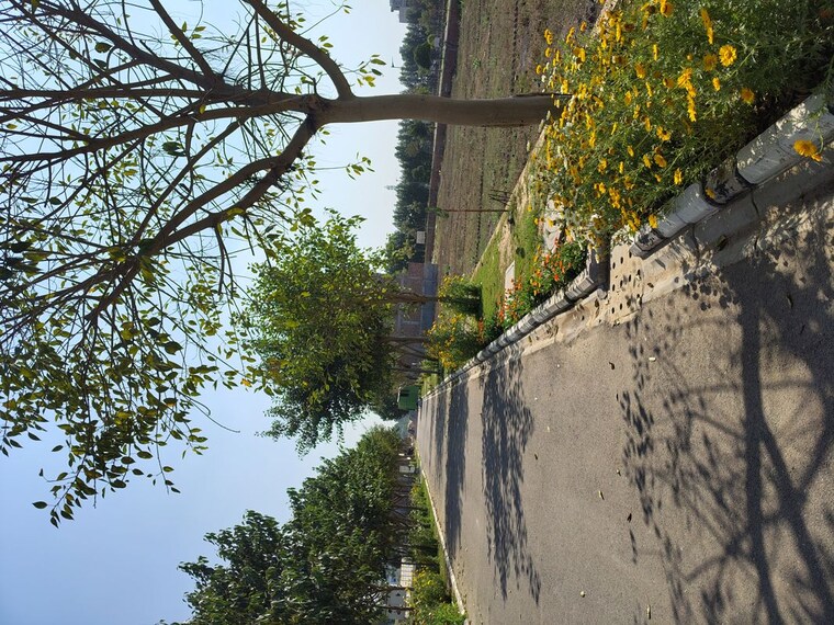 Exterior View, ats-homekraft-bonheur-avenue  175 Sq.Yd. Plot In Sohna Sector 35 Gurgaon 10054659