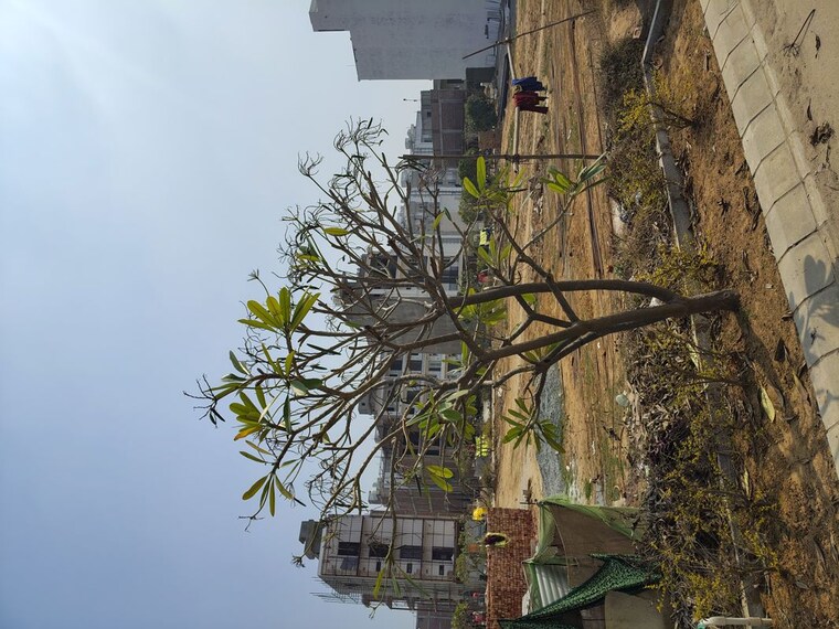 Exterior View, ats-homekraft-bonheur-avenue  168 Sq.Yd. Plot In Sohna Sector 35 Gurgaon 10054653