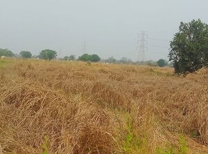  Plot For Sale in Panvel