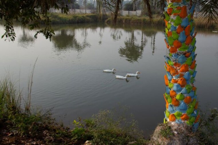 Garden, babametta  147 Sq.Yd. Plot In Babametta Vizianagaram 10054673