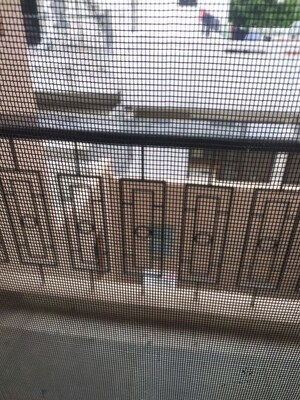 Room in 2 BHK Builder Floor at Sector 23 – for Rent