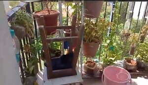 Gym in 2 BHK Apartment at Lodha Lakeshore Greens, Dombivli East – for Sale