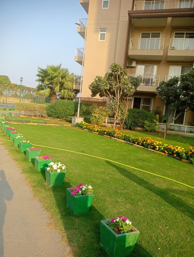 Garden, signature-global-synera 1 Bedroom 432 Sq.Ft. Apartment In Sector 81 Gurgaon 10055092