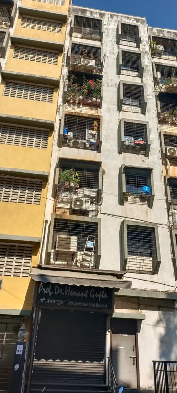 1 BHK + Pooja Room Apartment For Rent in Vrindavan CHS Worli