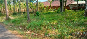  Plot For Sale in Kuttanellur