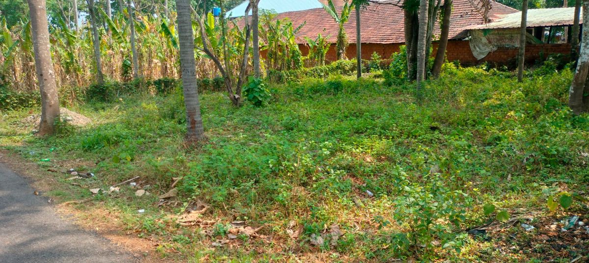 Plot For Sale in Kuttanellur