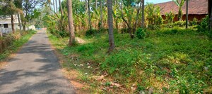 Plot Area in  Plot at Kuttanellur – for Sale