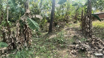 Plot Area in  Plot at Kuttanellur – for Sale