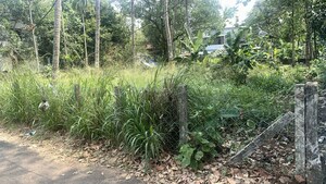 Plot Area in  Plot at Kuttanellur – for Sale