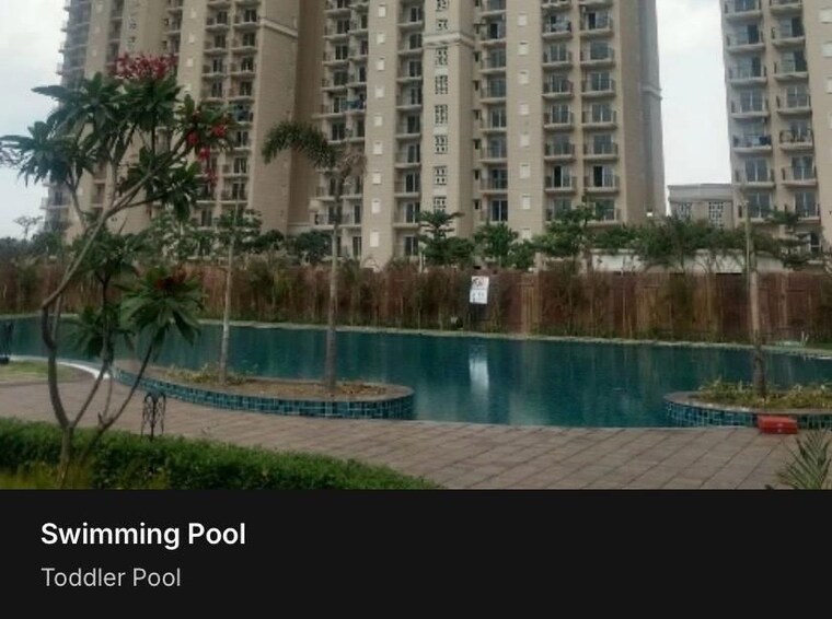 Swimming Pool, ats-dolce 2 Bedroom 1240 Sq.Ft. Apartment In Zeta I Greater Noida Greater Noida 9864030