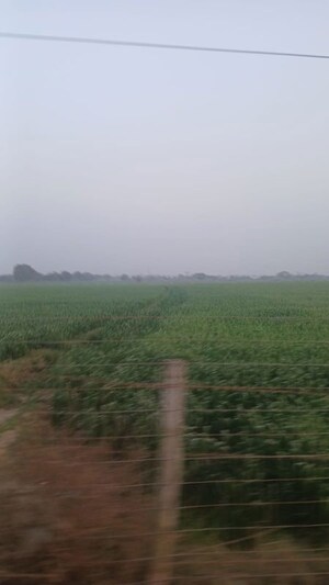  Plot For Sale in DLF Queens Court, Greater Kailash ii