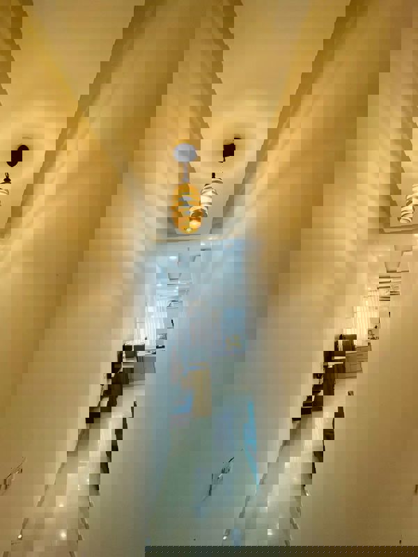 2 BHK 526 Sq.Ft. Apartment in Tulip Lemon