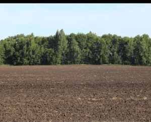  Plot For Sale in MKS Shiva Market, Pitampura