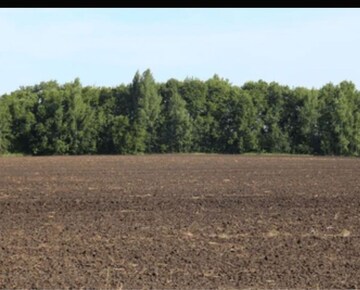  Plot For Sale in MKS Shiva Market, Pitampura