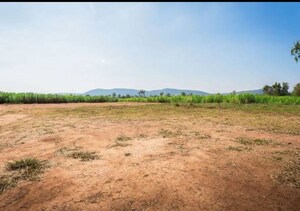  Plot For Sale in MKS Shiva Market, Pitampura