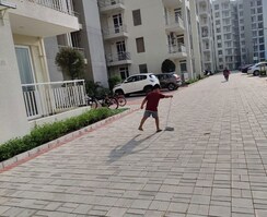 3 BHK Apartment For Rent in Sushma Joynest MOH