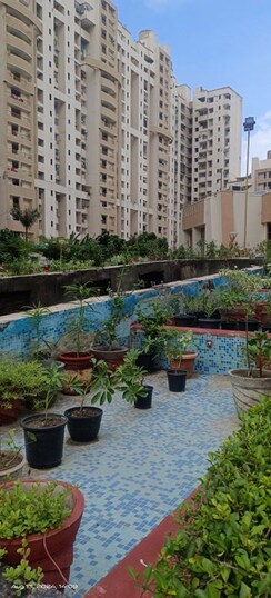 4 BHK + Store Room Apartment For Rent in Saya Zenith