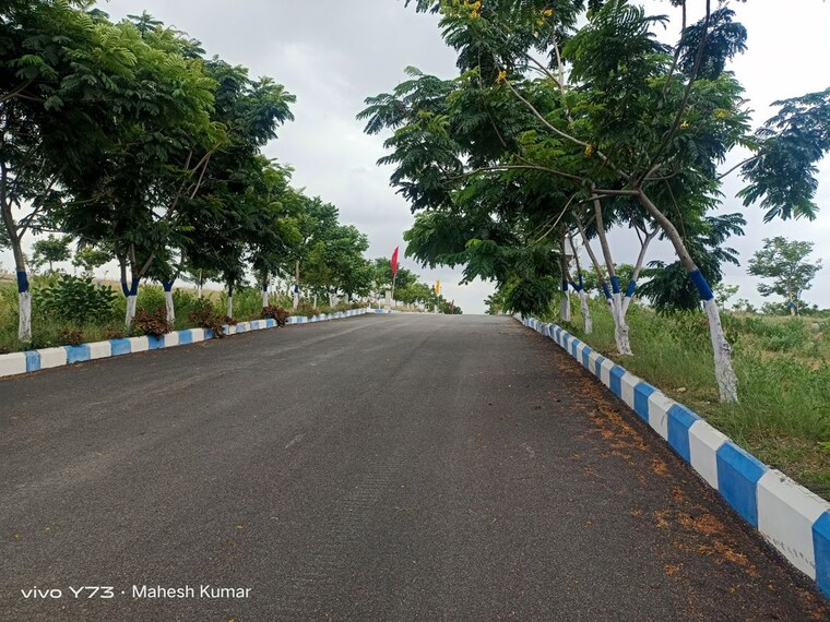 Exterior View, ybr-avasa-hills  210 Sq.Yd. Plot In Adibatla Hyderabad 10055993