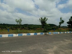 Plot For Sale in YBR Avasa Hills