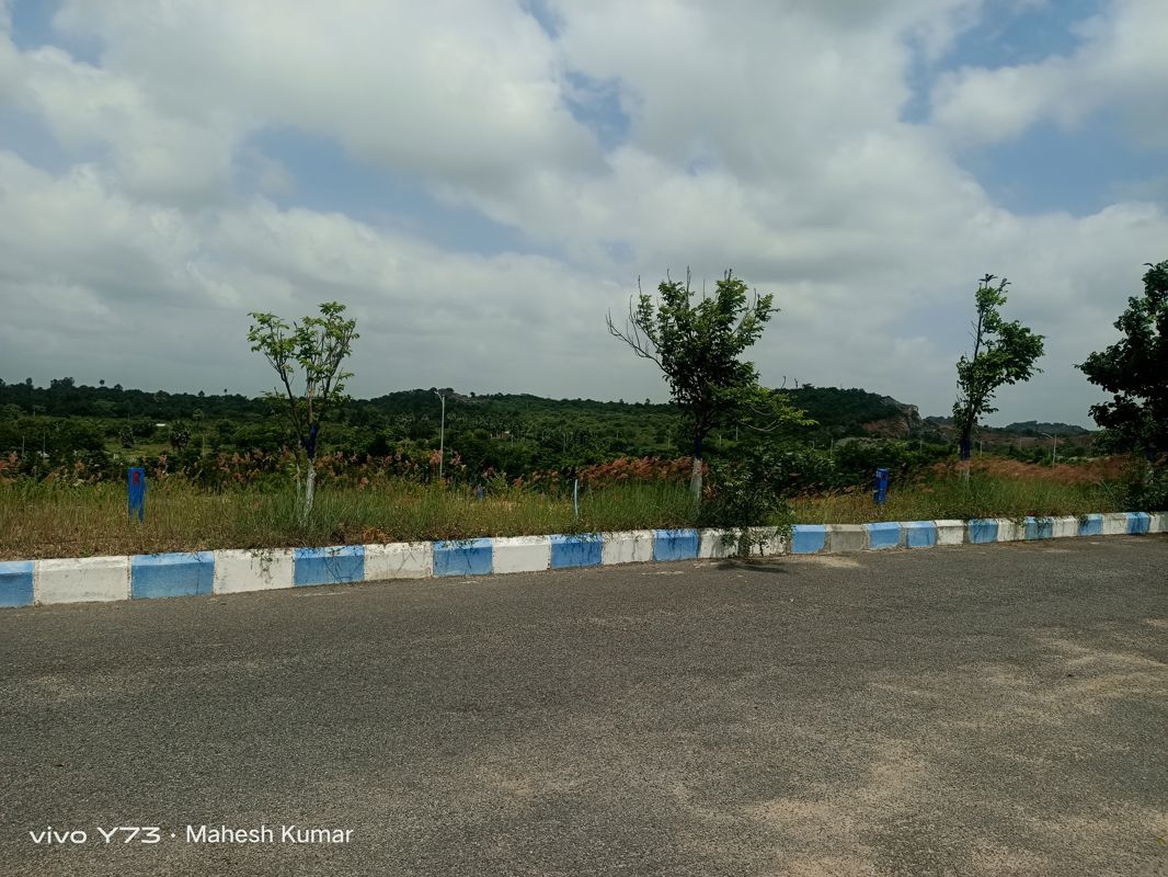 Plot For Sale in YBR Avasa Hills