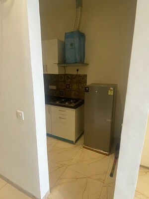 Bathroom in 1 BHK Apartment at Dad – for Rent