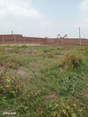  Plot For Sale in Shivala Par