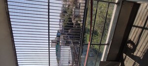 Balcony in 2 BHK Builder Floor at New Rajinder Nagar – for Rent