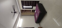 3 BHK + Pooja Room,Study Room Builder Floor For Rent in New Rajinder Nagar