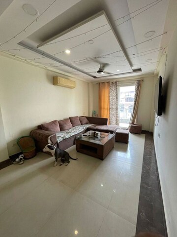 Living Room in 3 BHK Builder Floor at Sector 38 – for Rent