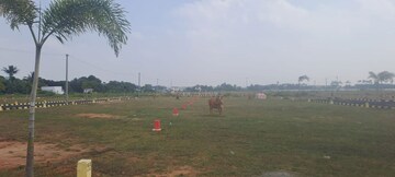 Plot Area in  Plot at Walajabad – for Sale