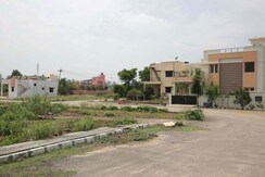 Plot For Sale in Sector 77