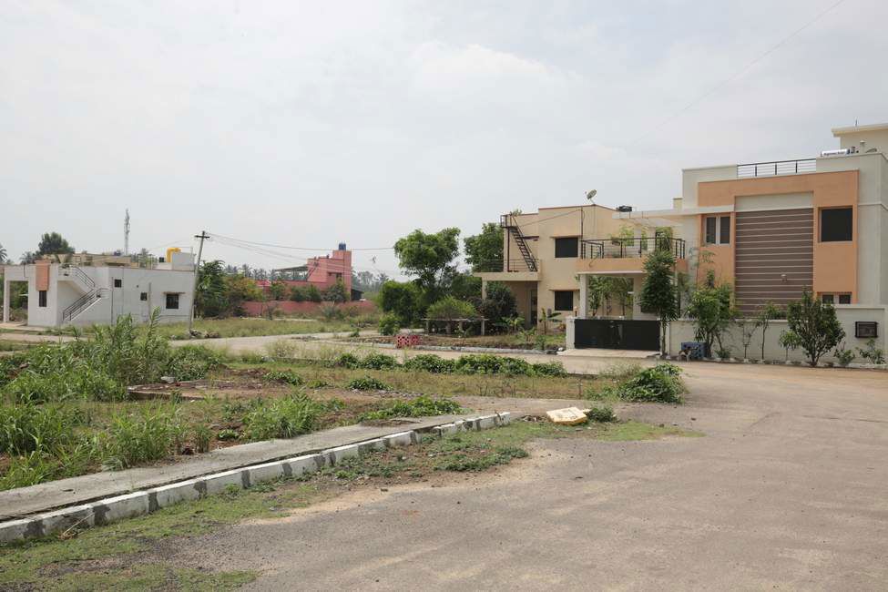 Plot For Sale in Sector 77
