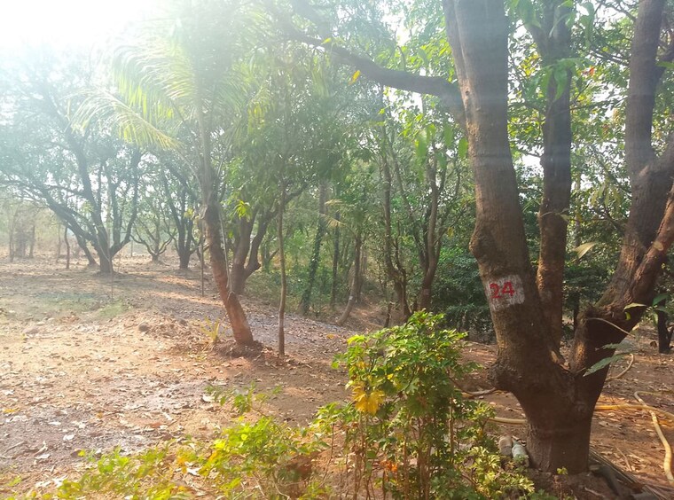 Garden, koproli  1089 Sq.Ft. Plot In Koproli Navi Mumbai 10056772