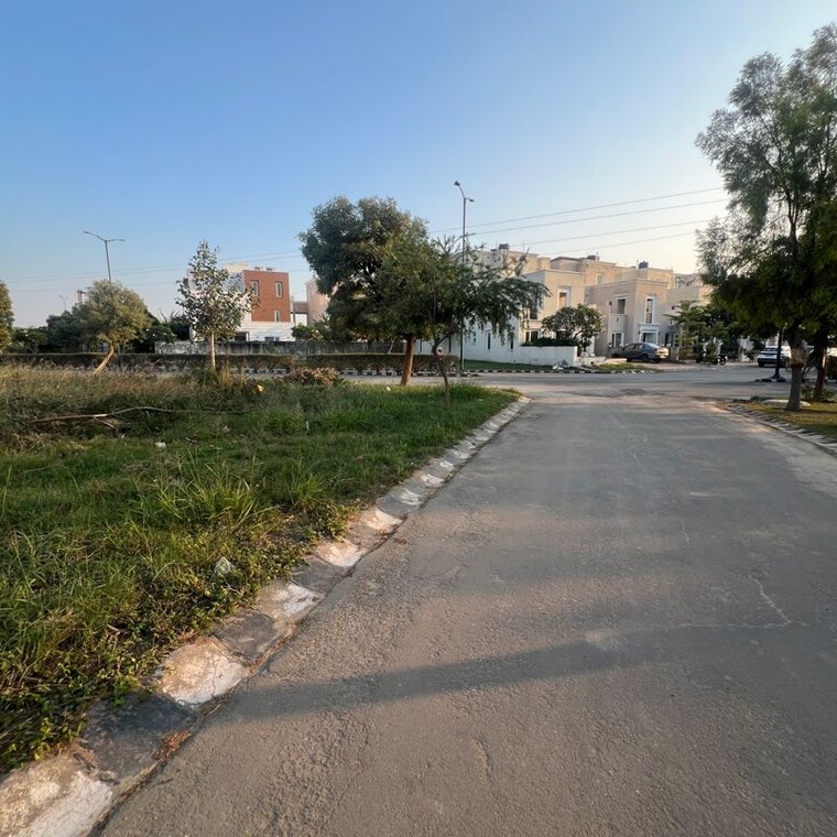 undefined, sector 106  300 Sq.Yd. Plot In Sector 106 Mohali 10056999