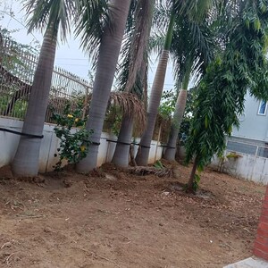 3 BHK Apartment – Exterior View View at Abhishek Antilia, Sama - for Rent